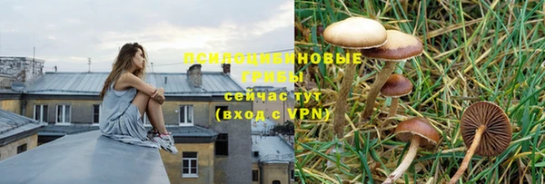 стафф Абинск
